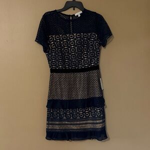 Chelsea28 Navy Lace Overlay Ruffle Hem Mini Dress